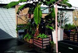 Wooden Planter Boxes Gold Coast