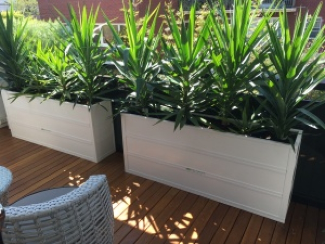 Planter Boxes Geelong