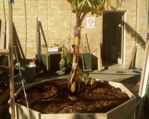 Planter Boxes Perth