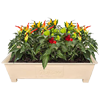 Terrace Planter Boxes